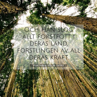 Psaltaren 105:36 Bibelvers Förklarad