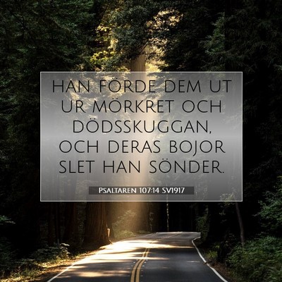 Psaltaren 107:14 Bibelvers Förklarad