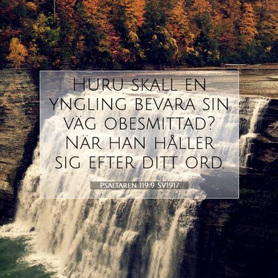 Psaltaren 119:9 SV1917 Bild av bibelvers