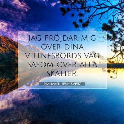 Psaltaren 119:14 Bibelvers Förklarad
