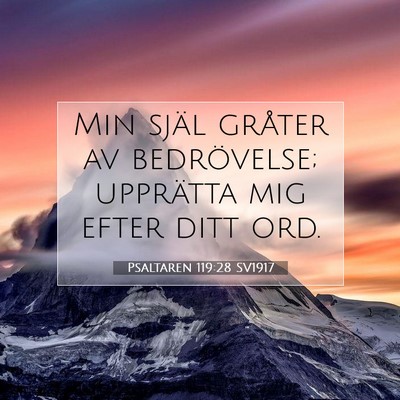 Psaltaren 119:28 Bibelvers Förklarad