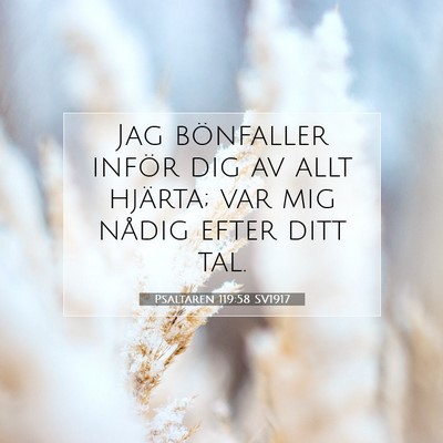 Psaltaren 119:58 Bibelvers Förklarad