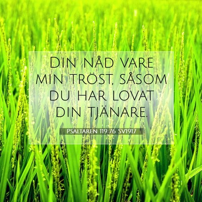 Psaltaren 119:76 SV1917 Bild av bibelvers