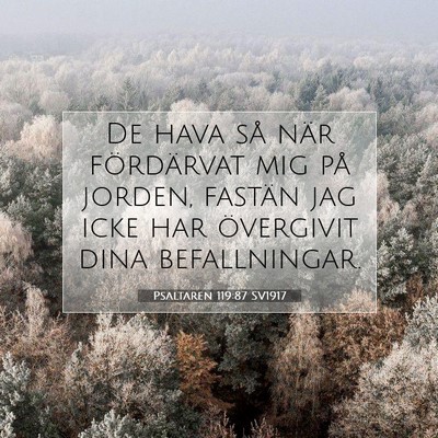 Psaltaren 119:87 Bibelvers Förklarad