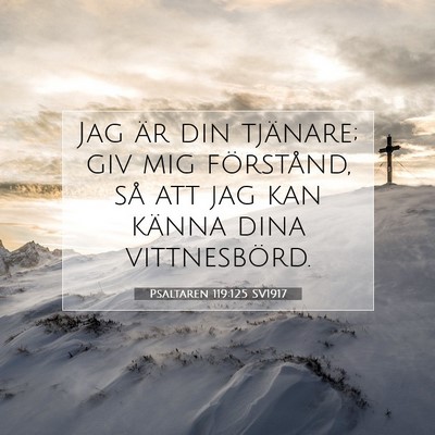 Psaltaren 119:125 Bibelvers Förklarad