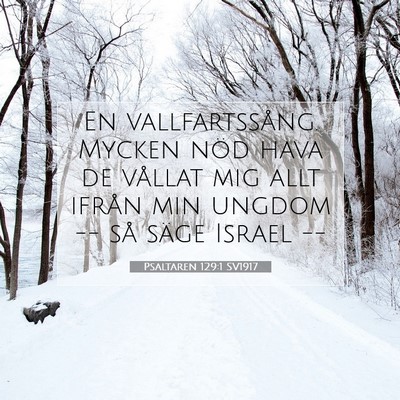 Psaltaren 129:1 SV1917 Bild av bibelvers