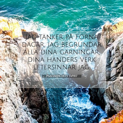 Psaltaren 143:5 Bibelvers Förklarad