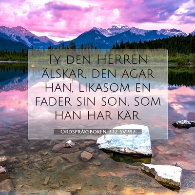 Ordspråksboken 3:12 Bibelvers Förklarad