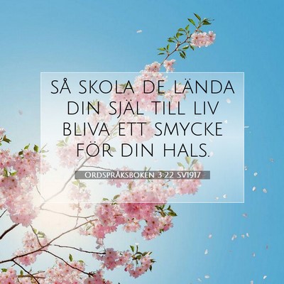Ordspråksboken 3:22 Bibelvers Förklarad