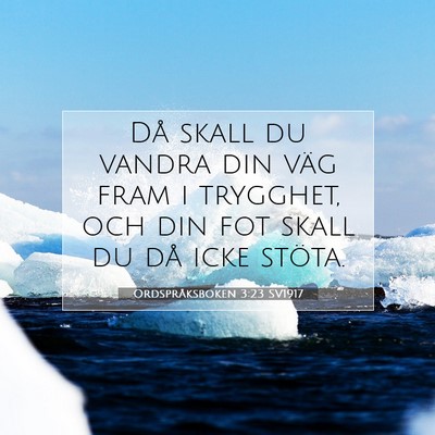 Ordspråksboken 3:23 Bibelvers Förklarad