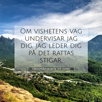 Ordspråksboken 4:11 SV1917 Bild av bibelvers