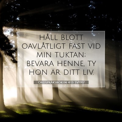 Ordspråksboken 4:13 SV1917 Bild av bibelvers