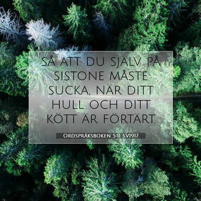 Ordspråksboken 5:11 Bibelvers Förklarad