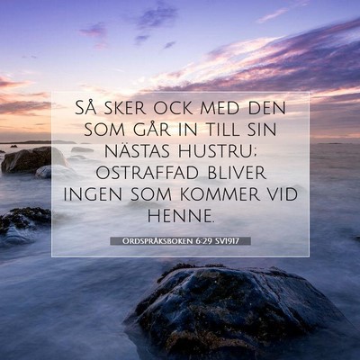 Ordspråksboken 6:29 SV1917 Bild av bibelvers