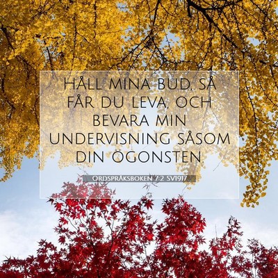 Ordspråksboken 7:2 SV1917 Bild av bibelvers
