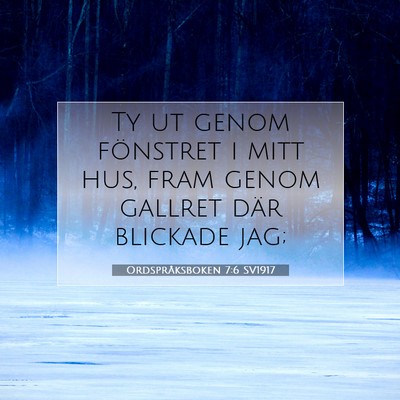 Ordspråksboken 7:6 SV1917 Bild av bibelvers