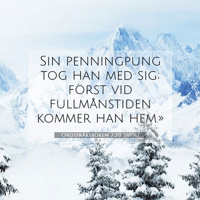 Ordspråksboken 7:20 Bibelvers Förklarad