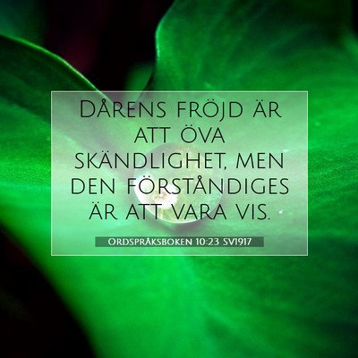 Ordspråksboken 10:23 Bibelvers Förklarad