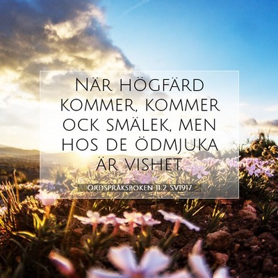 Ordspråksboken 11:2 SV1917 Bild av bibelvers