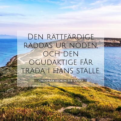 Ordspråksboken 11:8 SV1917 Bild av bibelvers