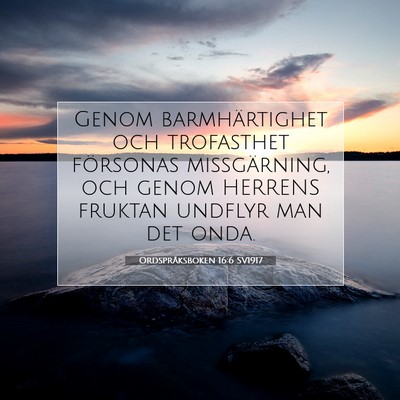 Ordspråksboken 16:6 SV1917 Bild av bibelvers