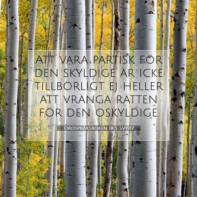 Ordspråksboken 18:5 Bibelvers Förklarad