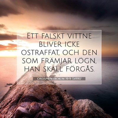 Ordspråksboken 19:9 SV1917 Bild av bibelvers