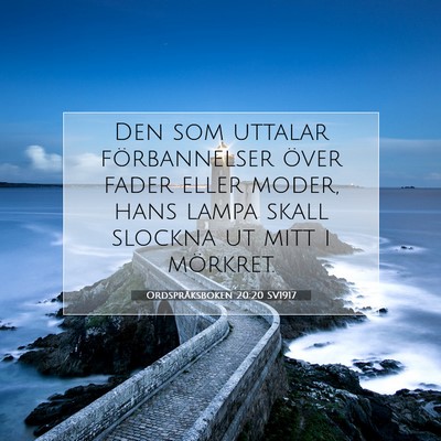 Ordspråksboken 20:20 SV1917 Bild av bibelvers