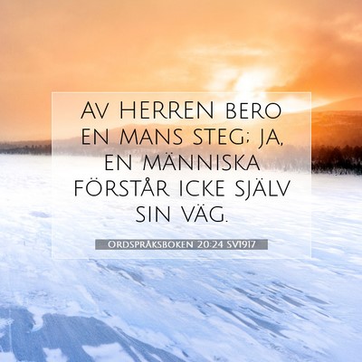 Ordspråksboken 20:24 SV1917 Bild av bibelvers