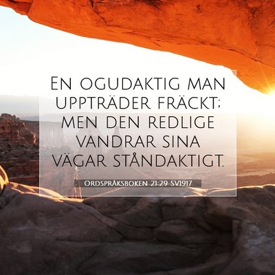 Ordspråksboken 21:29 SV1917 Bild av bibelvers