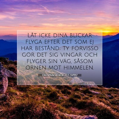 Ordspråksboken 23:5 SV1917 Bild av bibelvers