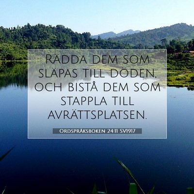 Ordspråksboken 24:11 SV1917 Bild av bibelvers