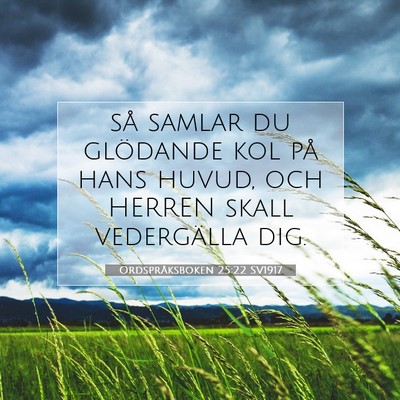 Ordspråksboken 25:22 Bibelvers Förklarad