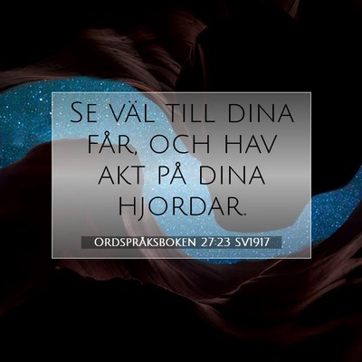 Ordspråksboken 27:23 SV1917 Bild av bibelvers