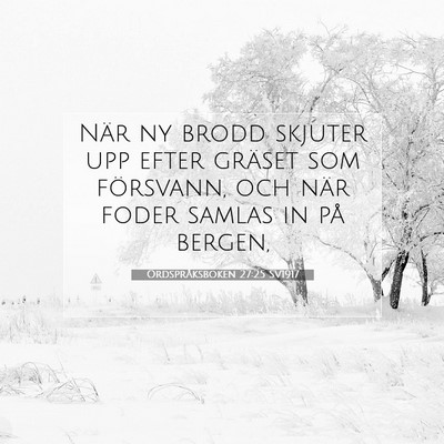 Ordspråksboken 27:25 Bibelvers Förklarad