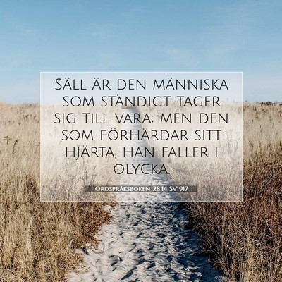 Ordspråksboken 28:14 SV1917 Bild av bibelvers