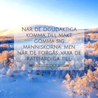 Ordspråksboken 28:28 SV1917 Bild av bibelvers
