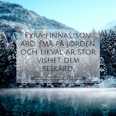 Ordspråksboken 30:24 Bibelvers Förklarad