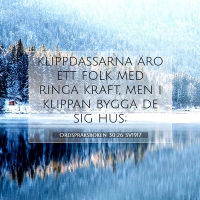 Ordspråksboken 30:26 SV1917 Bild av bibelvers