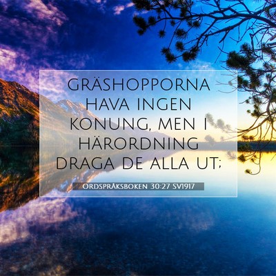 Ordspråksboken 30:27 Bibelvers Förklarad