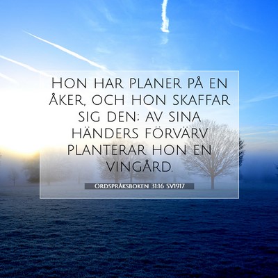 Ordspråksboken 31:16 Bibelvers Förklarad