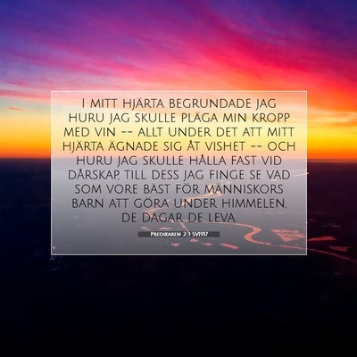 Predikaren 2:3 SV1917 Bild av bibelvers
