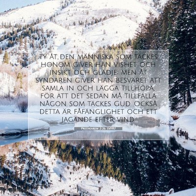 Predikaren 2:26 SV1917 Bild av bibelvers