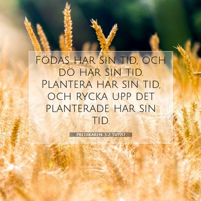 Predikaren 3:2 Bibelvers Förklarad