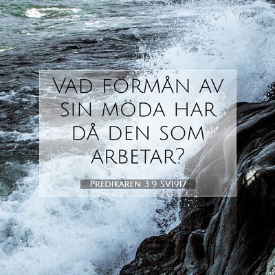 Predikaren 3:9 SV1917 Bild av bibelvers