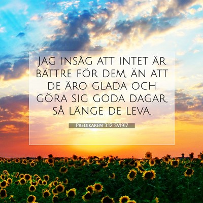 Predikaren 3:12 Bibelvers Förklarad