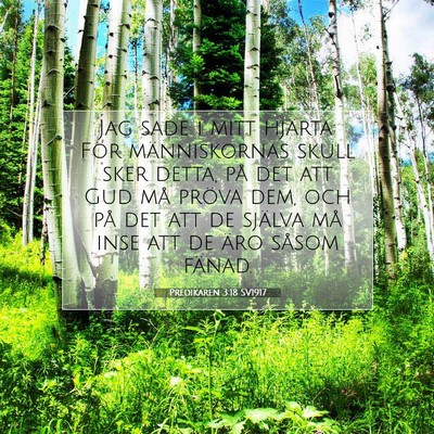 Predikaren 3:18 SV1917 Bild av bibelvers