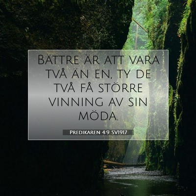 Predikaren 4:9 Bibelvers Förklarad