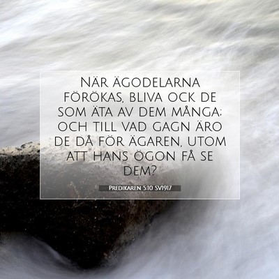 Predikaren 5:10 SV1917 Bild av bibelvers