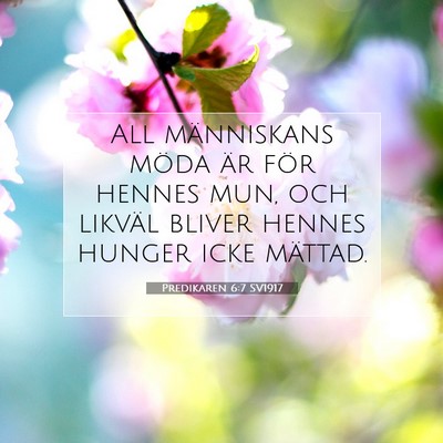 Predikaren 6:7 SV1917 Bild av bibelvers